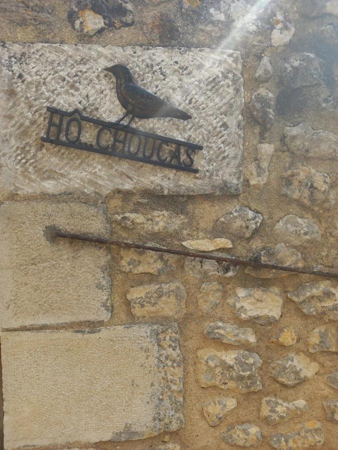 Ho Choucas Chauvigny